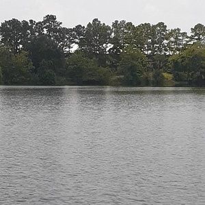 Meet your Posher, Destiny